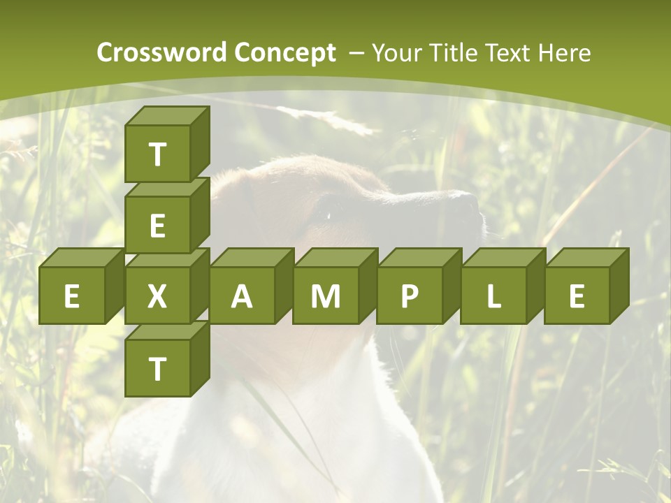 A Dog Is Sitting In The Tall Grass PowerPoint Template