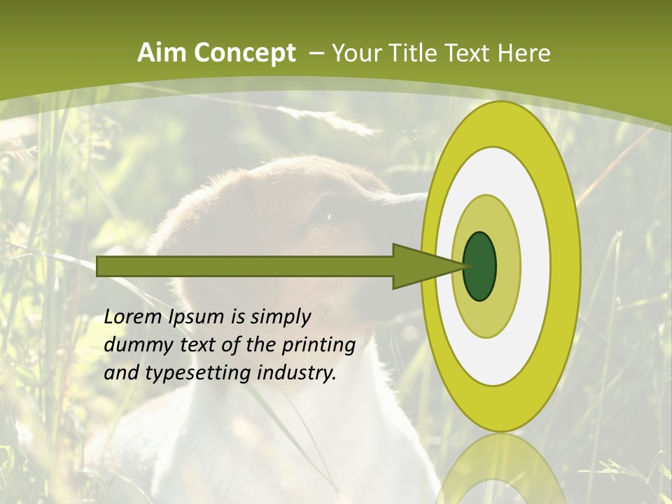 A Dog Is Sitting In The Tall Grass PowerPoint Template