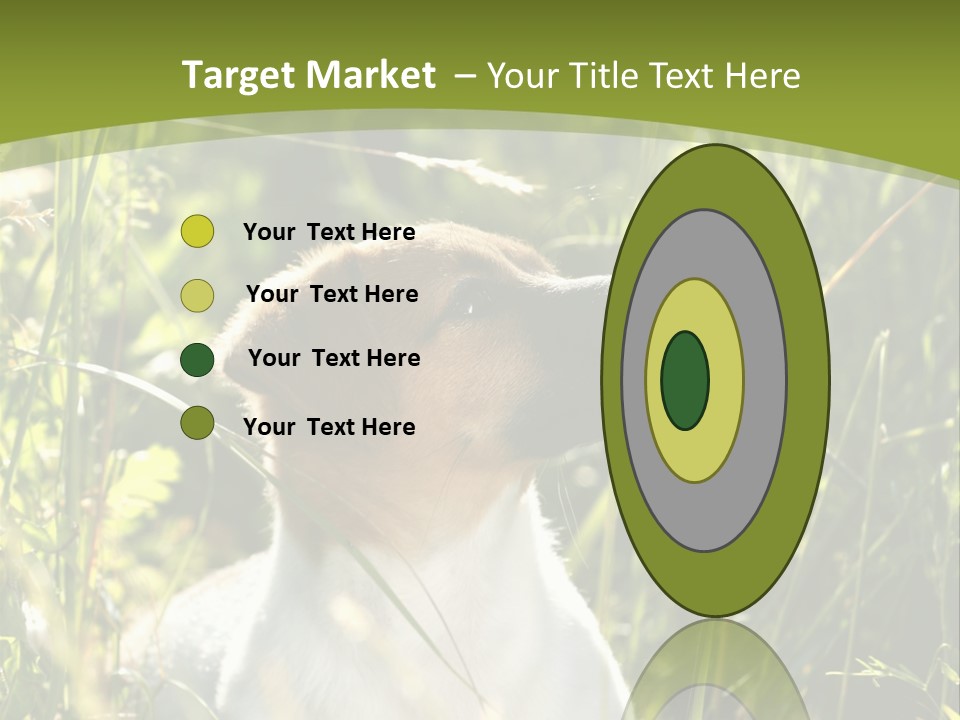 A Dog Is Sitting In The Tall Grass PowerPoint Template