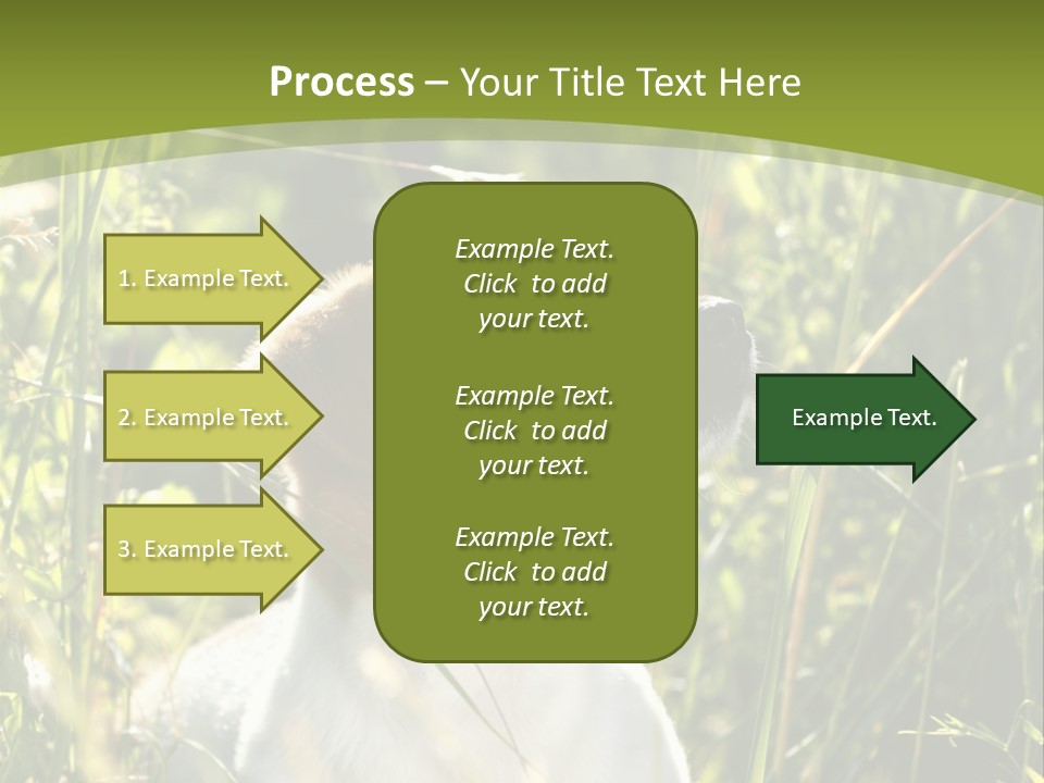 A Dog Is Sitting In The Tall Grass PowerPoint Template
