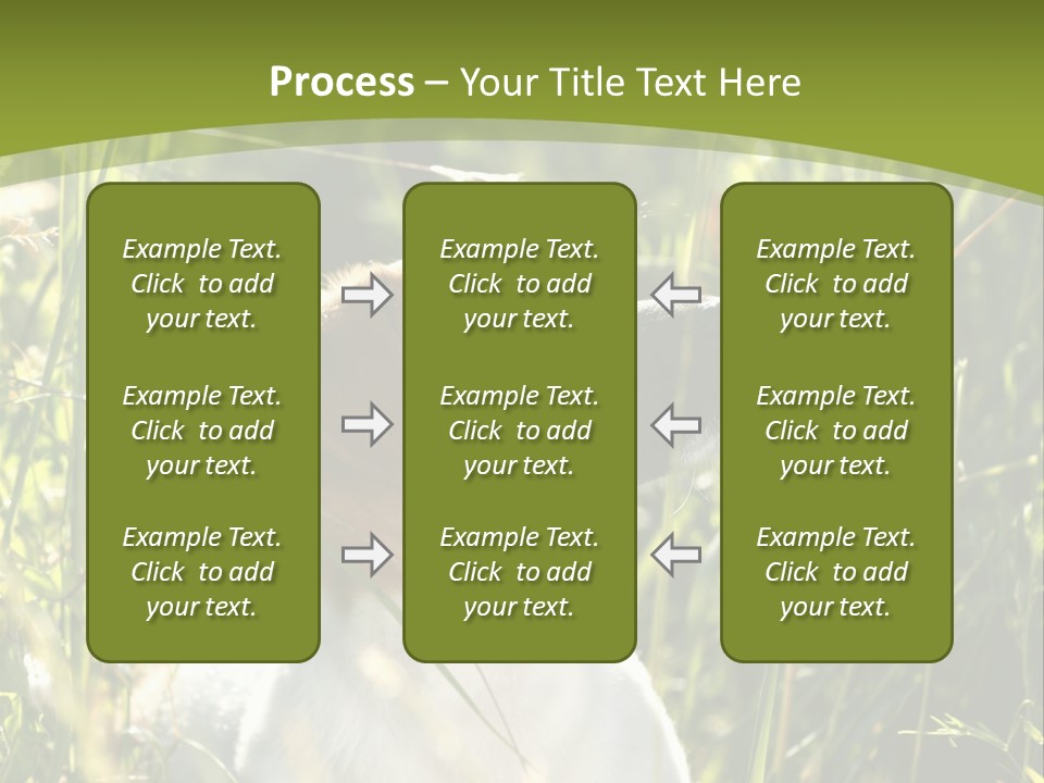 A Dog Is Sitting In The Tall Grass PowerPoint Template