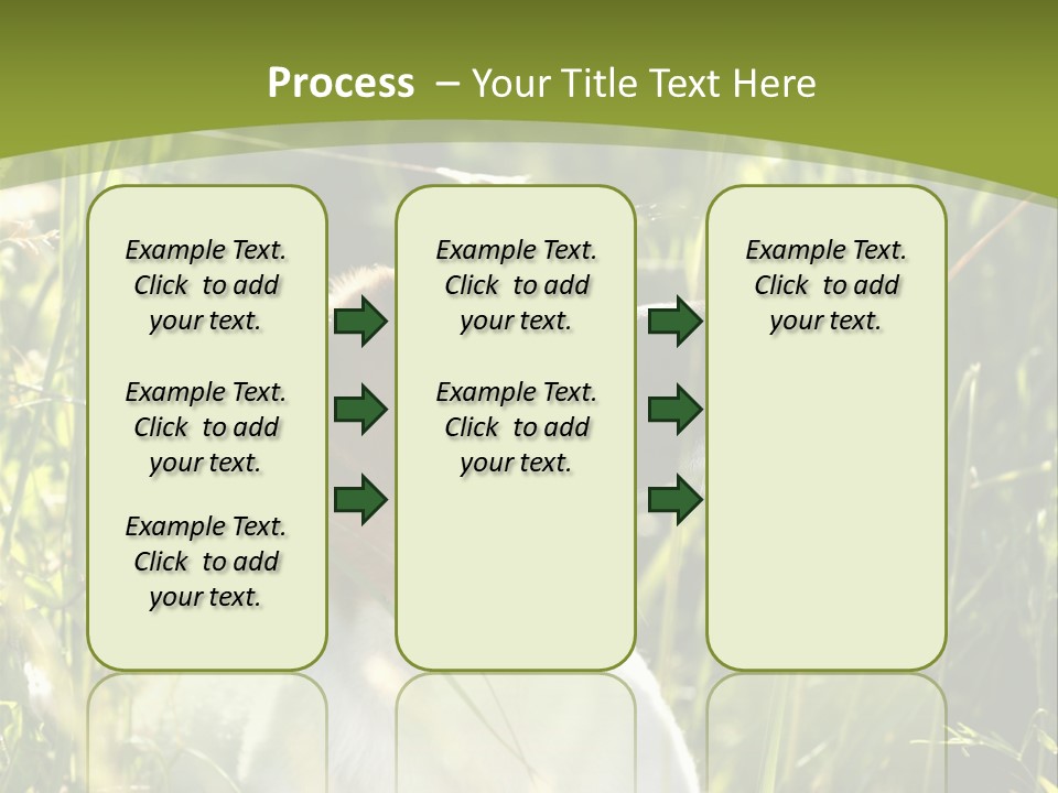A Dog Is Sitting In The Tall Grass PowerPoint Template