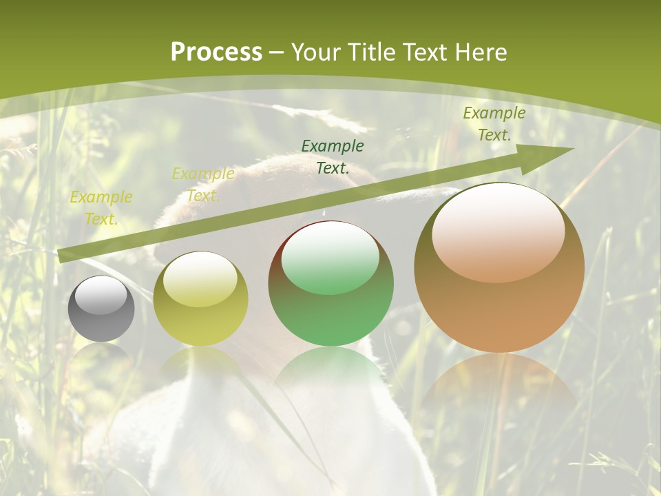 A Dog Is Sitting In The Tall Grass PowerPoint Template