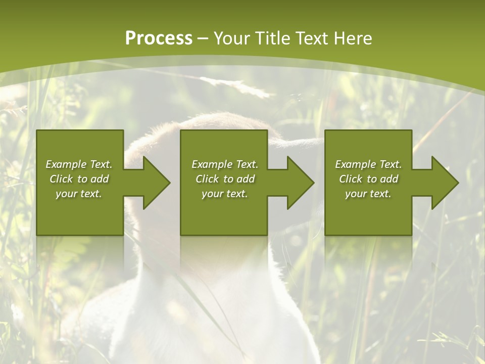 A Dog Is Sitting In The Tall Grass PowerPoint Template
