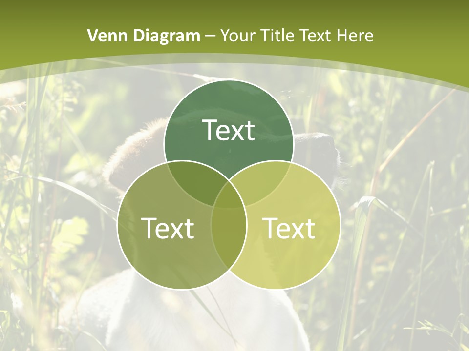 A Dog Is Sitting In The Tall Grass PowerPoint Template