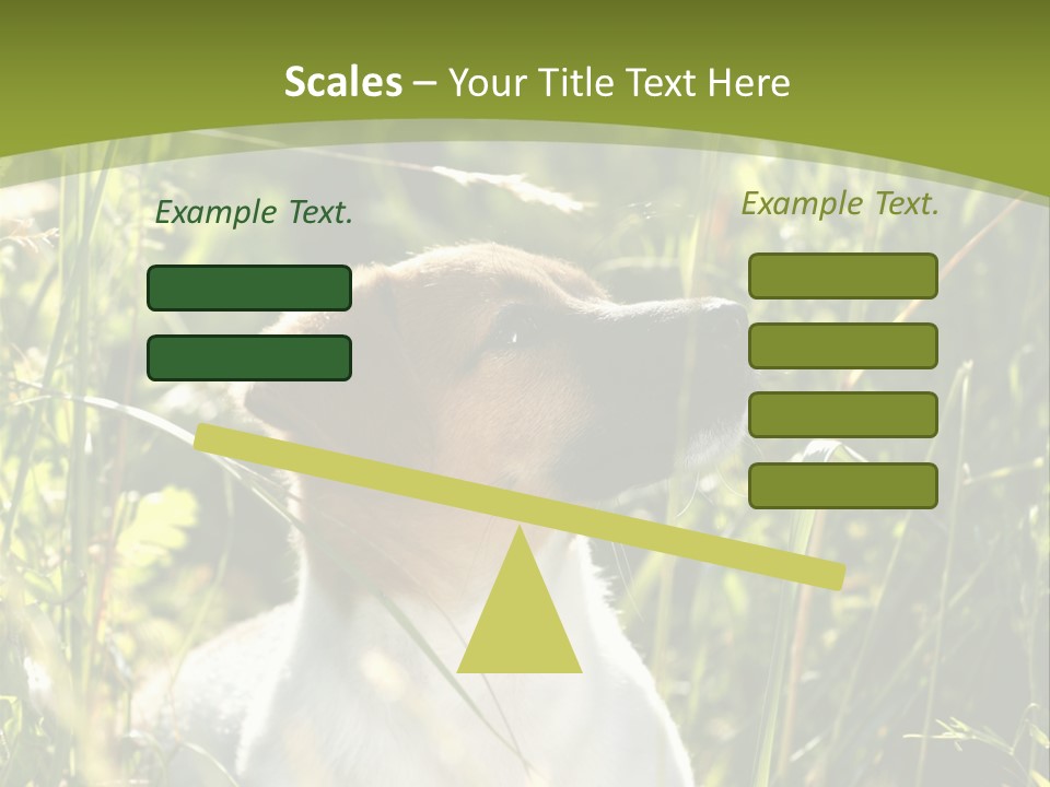A Dog Is Sitting In The Tall Grass PowerPoint Template