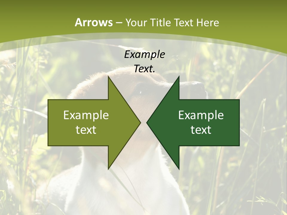 A Dog Is Sitting In The Tall Grass PowerPoint Template