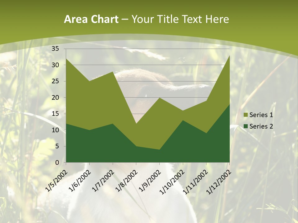 A Dog Is Sitting In The Tall Grass PowerPoint Template