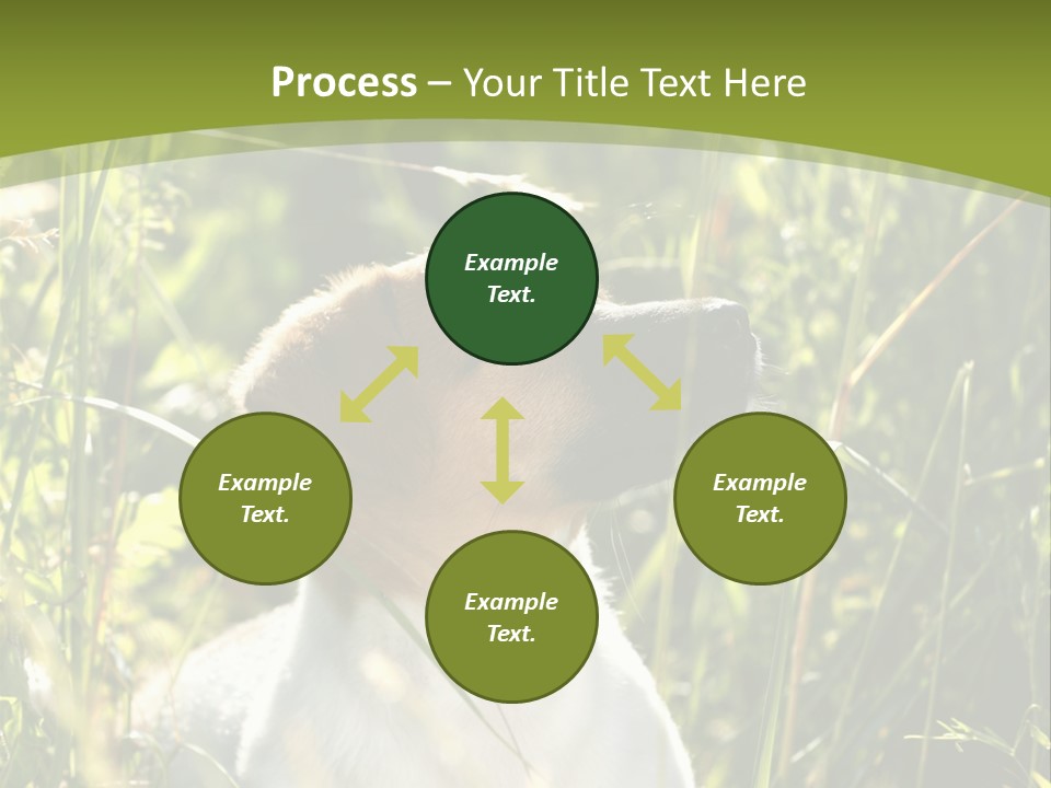 A Dog Is Sitting In The Tall Grass PowerPoint Template
