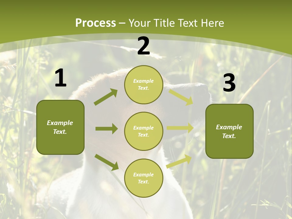 A Dog Is Sitting In The Tall Grass PowerPoint Template