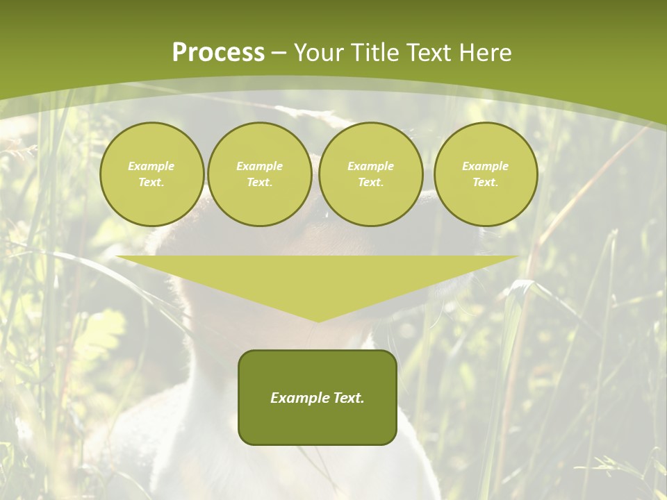 A Dog Is Sitting In The Tall Grass PowerPoint Template