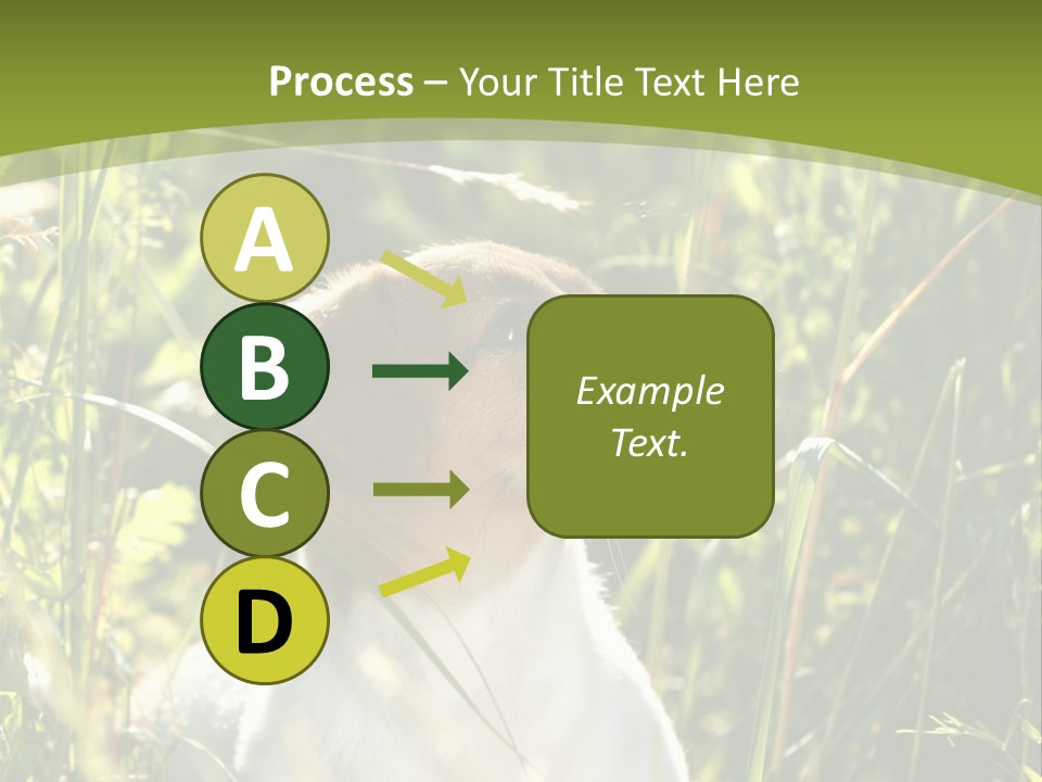 A Dog Is Sitting In The Tall Grass PowerPoint Template