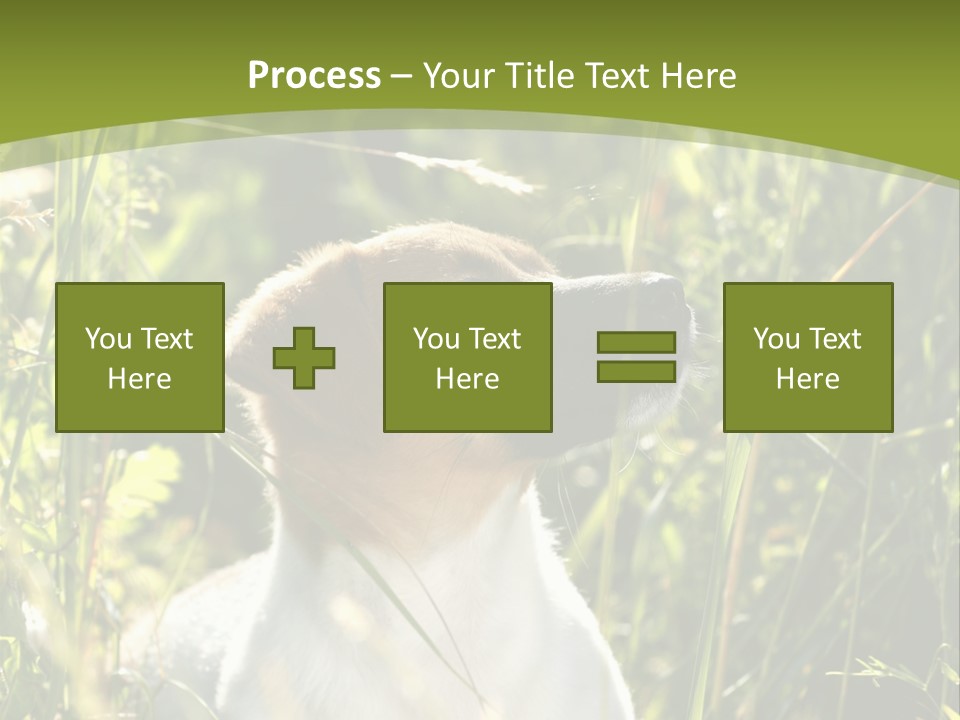 A Dog Is Sitting In The Tall Grass PowerPoint Template