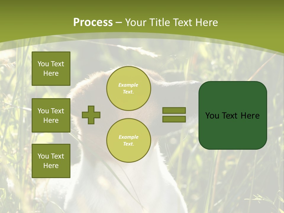A Dog Is Sitting In The Tall Grass PowerPoint Template