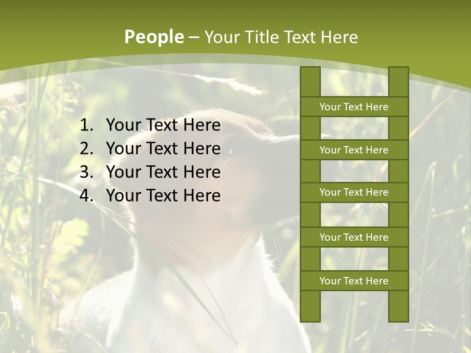 A Dog Is Sitting In The Tall Grass PowerPoint Template