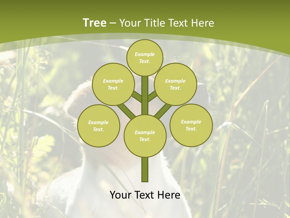 A Dog Is Sitting In The Tall Grass PowerPoint Template