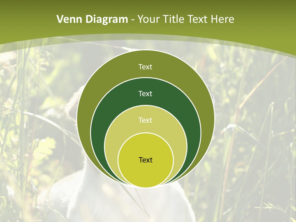 A Dog Is Sitting In The Tall Grass PowerPoint Template