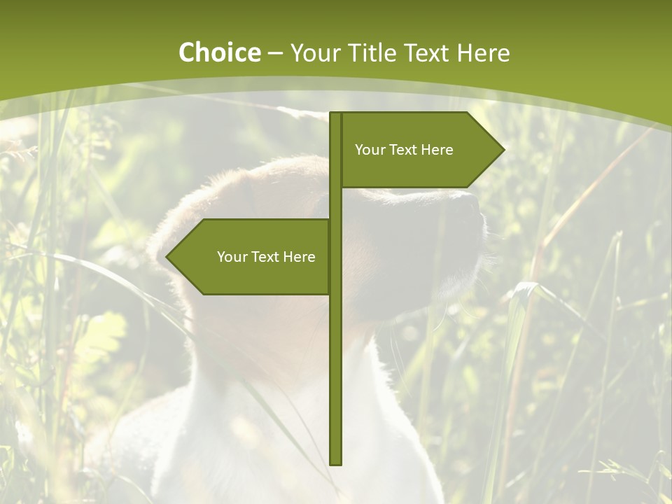 A Dog Is Sitting In The Tall Grass PowerPoint Template