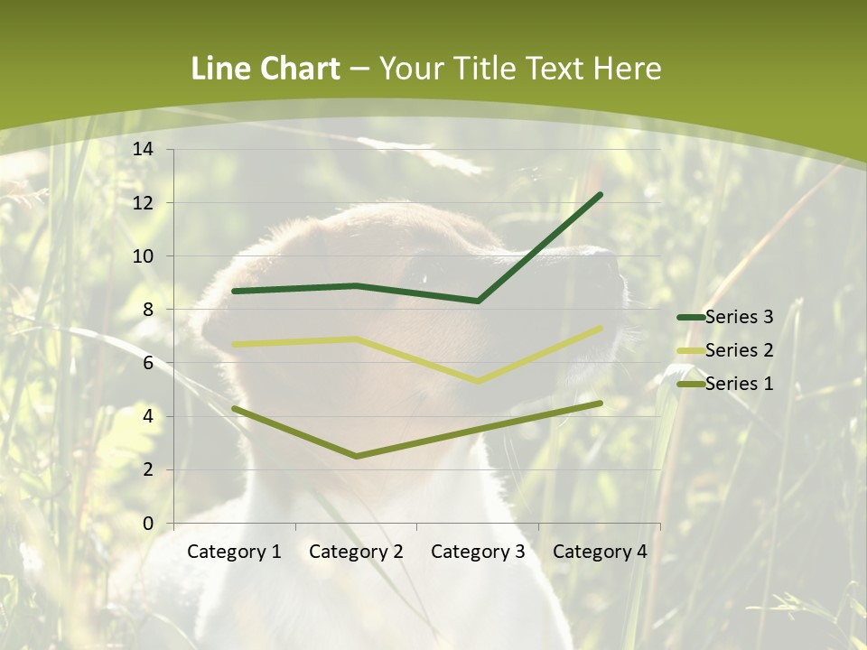 A Dog Is Sitting In The Tall Grass PowerPoint Template