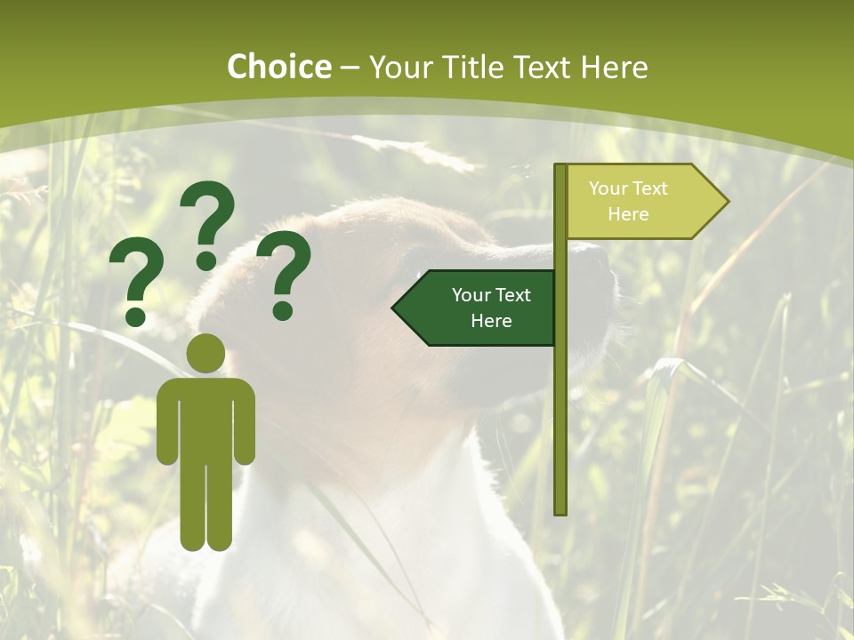 A Dog Is Sitting In The Tall Grass PowerPoint Template