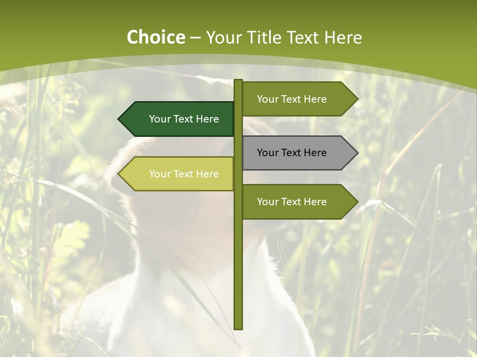 A Dog Is Sitting In The Tall Grass PowerPoint Template