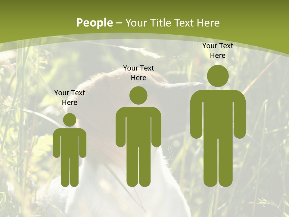 A Dog Is Sitting In The Tall Grass PowerPoint Template
