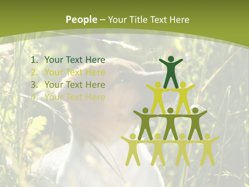 A Dog Is Sitting In The Tall Grass PowerPoint Template