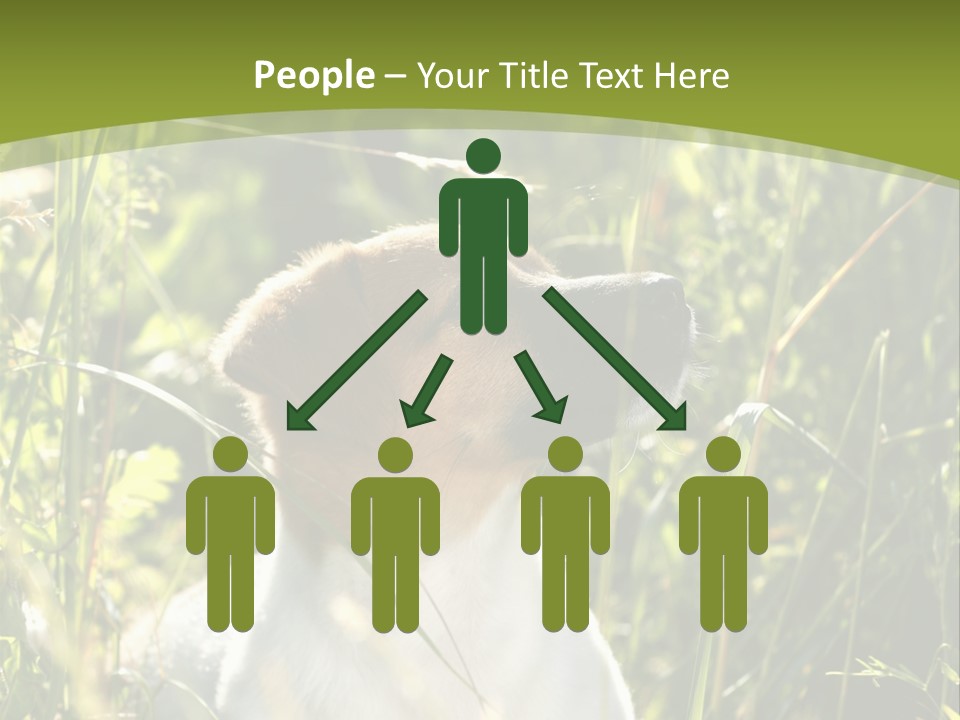 A Dog Is Sitting In The Tall Grass PowerPoint Template