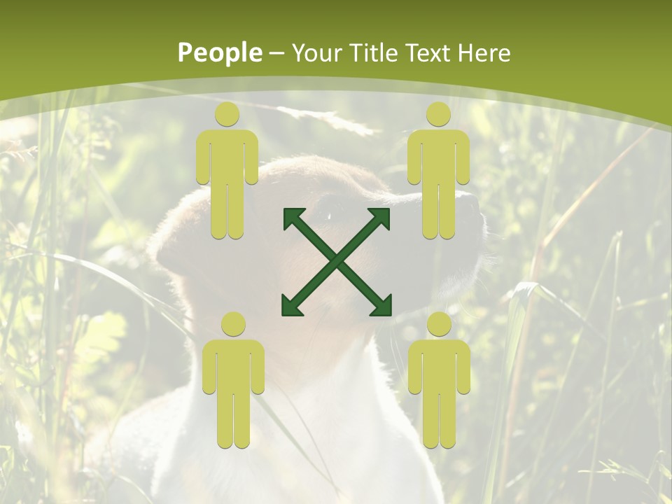 A Dog Is Sitting In The Tall Grass PowerPoint Template