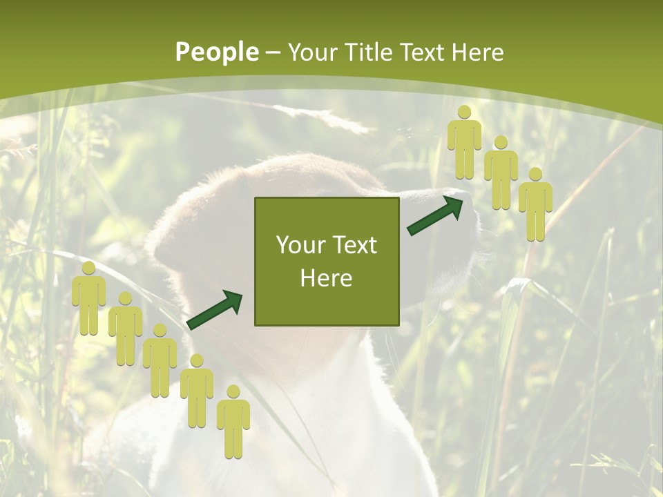 A Dog Is Sitting In The Tall Grass PowerPoint Template