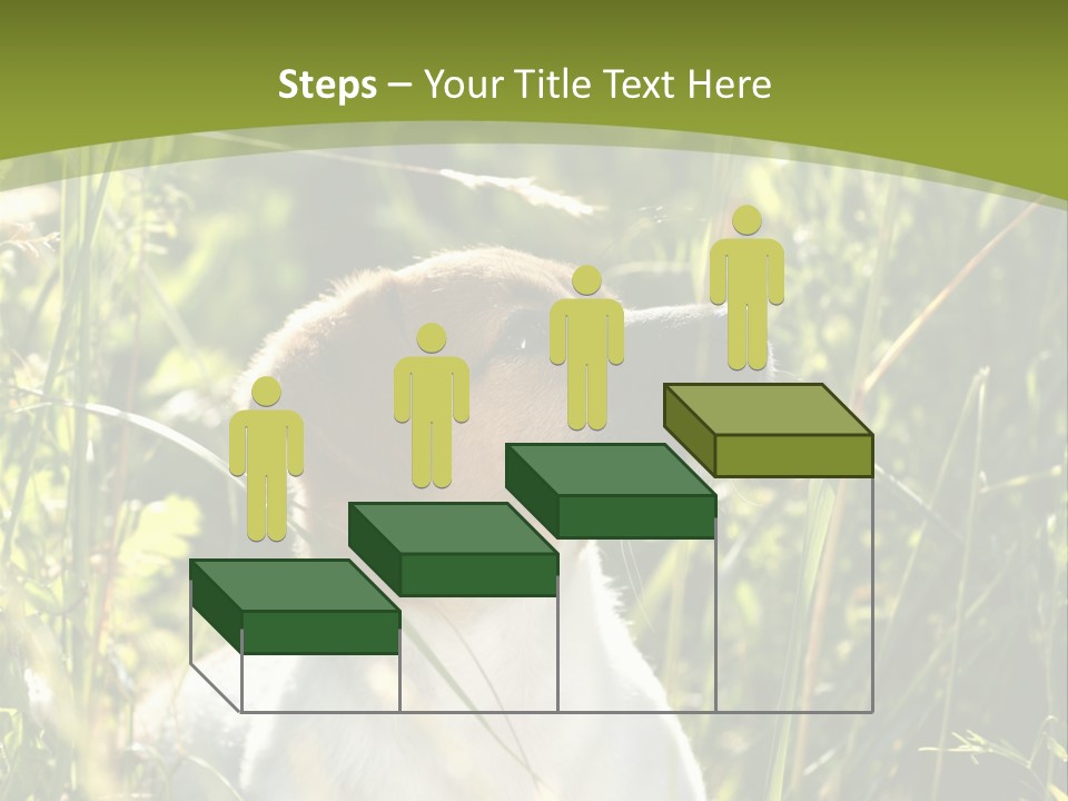 A Dog Is Sitting In The Tall Grass PowerPoint Template