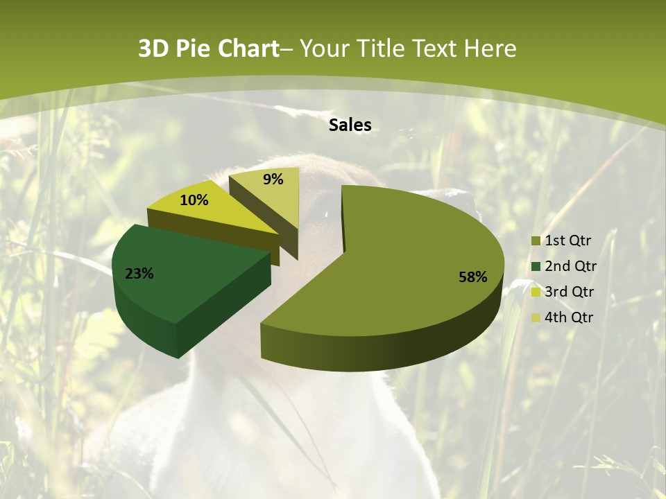 A Dog Is Sitting In The Tall Grass PowerPoint Template