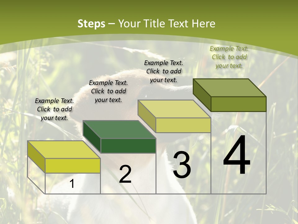 A Dog Is Sitting In The Tall Grass PowerPoint Template