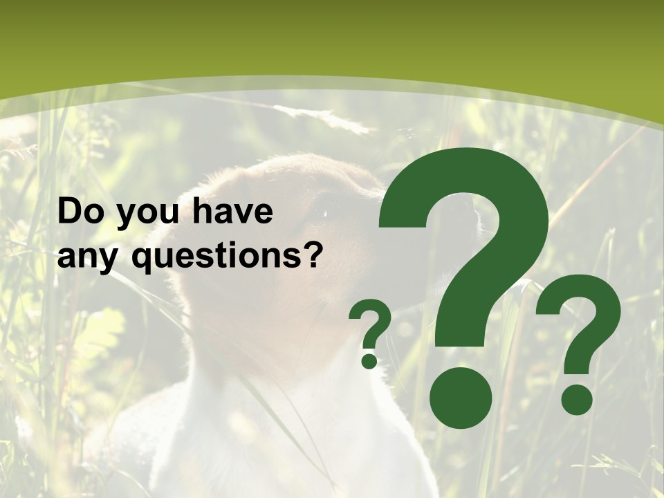 A Dog Is Sitting In The Tall Grass PowerPoint Template