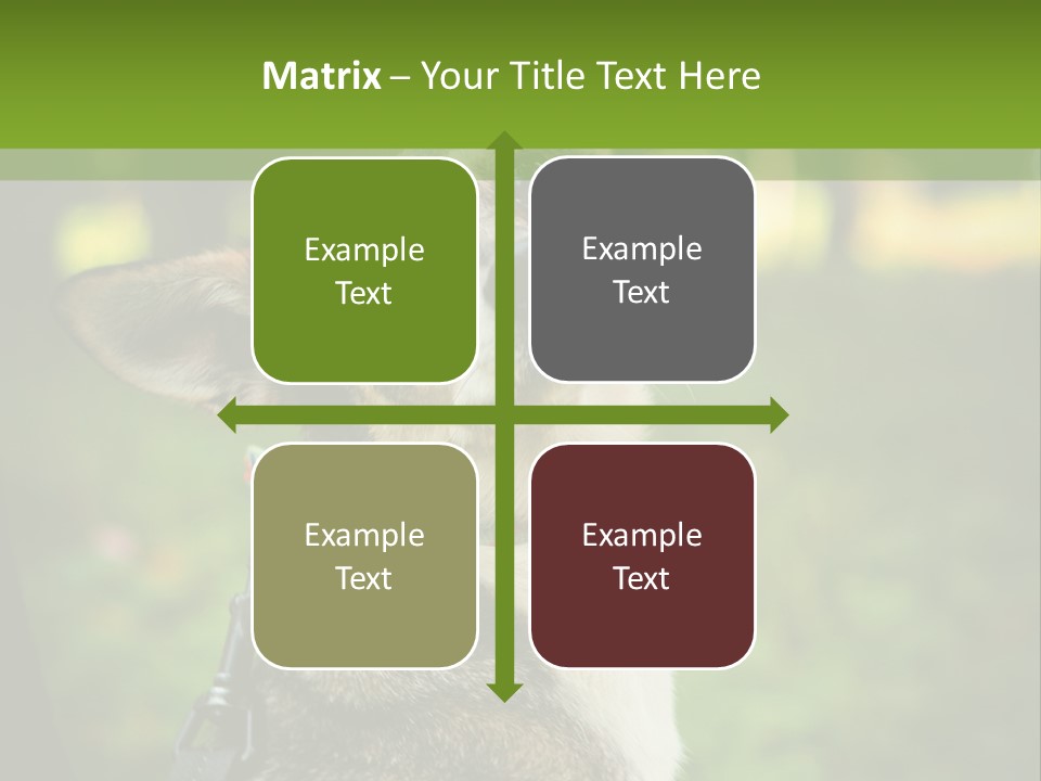 A Dog Sitting In The Grass Powerpoint Template PowerPoint Template