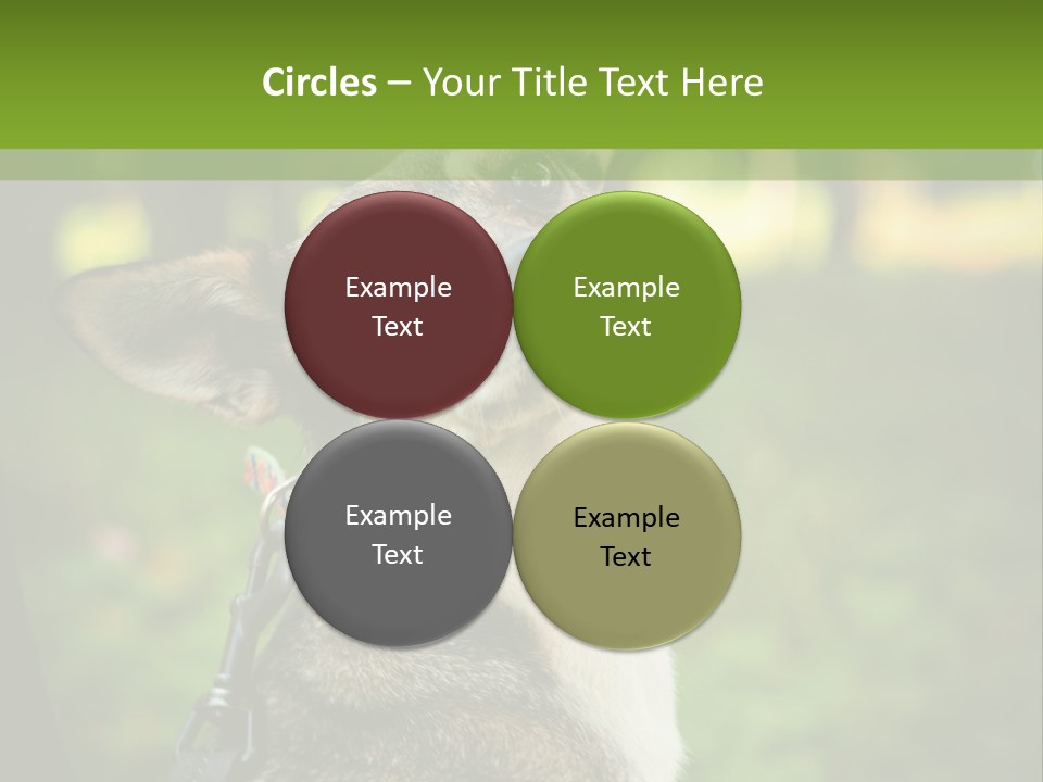 A Dog Sitting In The Grass Powerpoint Template PowerPoint Template
