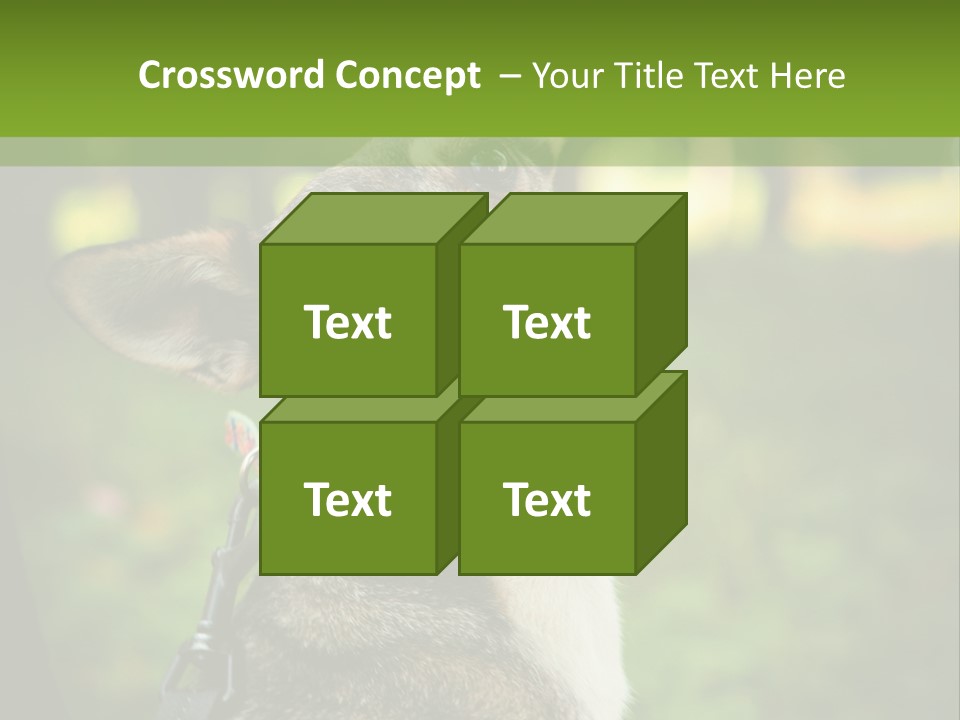 A Dog Sitting In The Grass Powerpoint Template PowerPoint Template