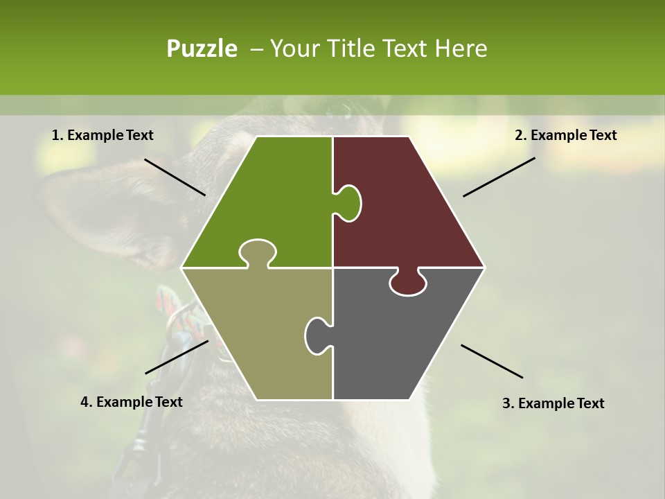 A Dog Sitting In The Grass Powerpoint Template PowerPoint Template