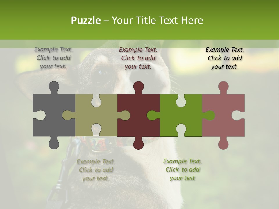 A Dog Sitting In The Grass Powerpoint Template PowerPoint Template