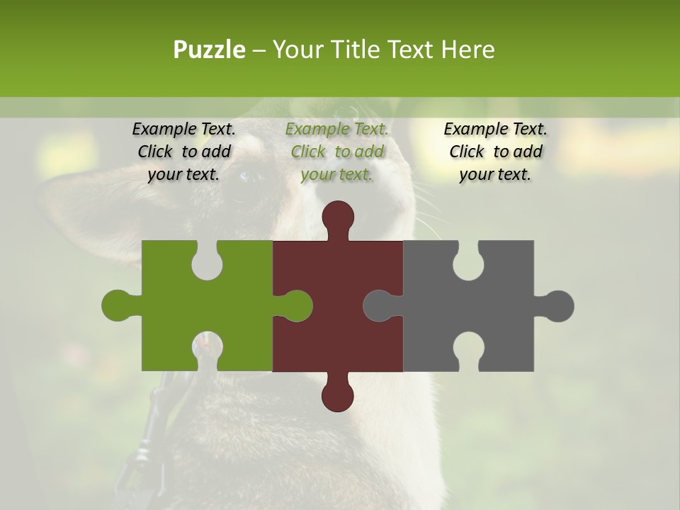 A Dog Sitting In The Grass Powerpoint Template PowerPoint Template