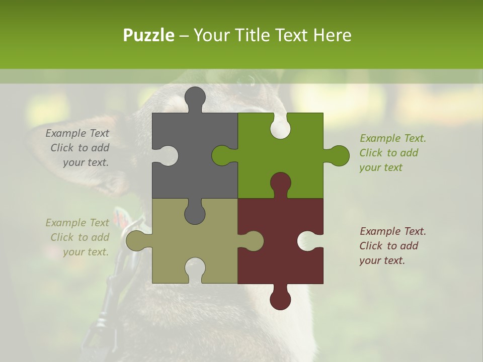 A Dog Sitting In The Grass Powerpoint Template PowerPoint Template