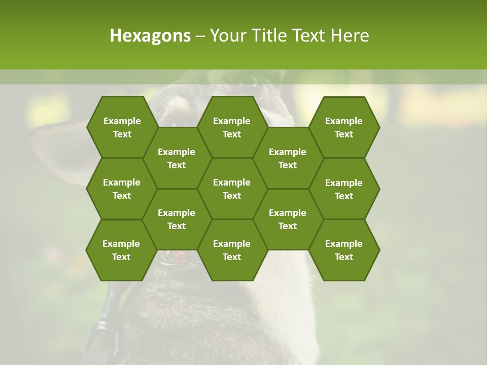 A Dog Sitting In The Grass Powerpoint Template PowerPoint Template