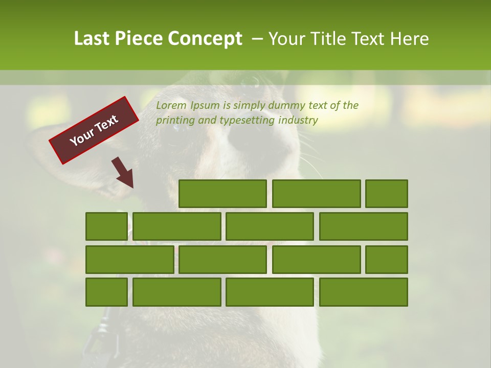 A Dog Sitting In The Grass Powerpoint Template PowerPoint Template