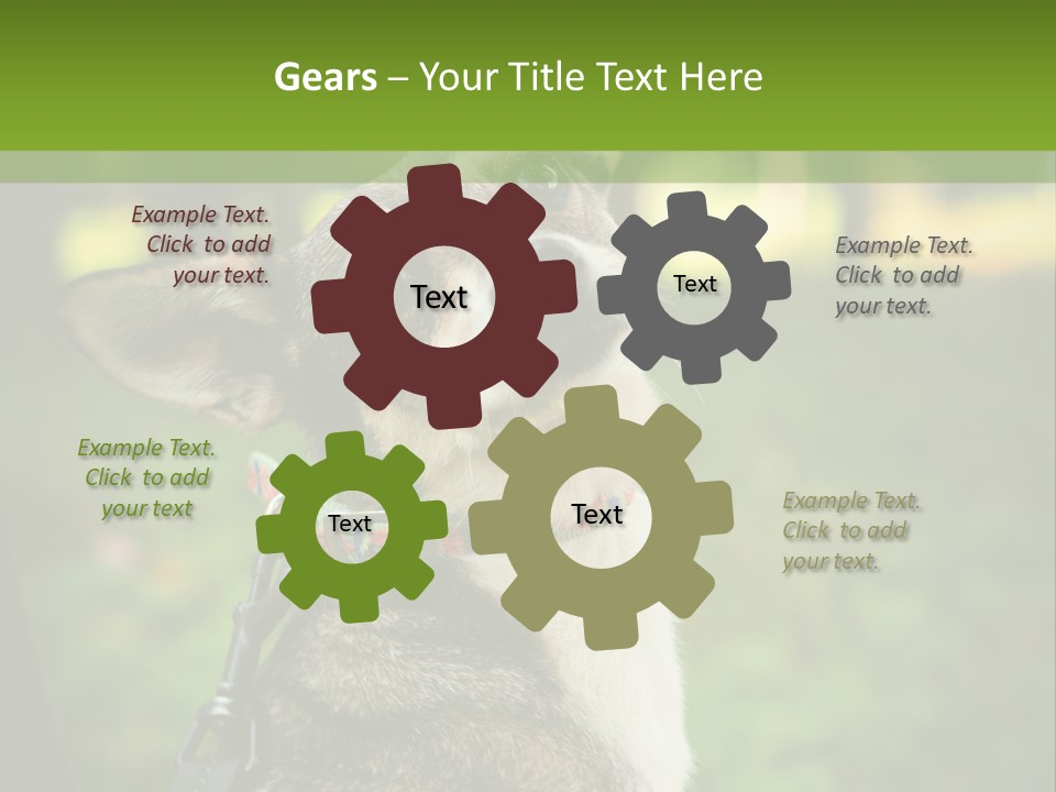 A Dog Sitting In The Grass Powerpoint Template PowerPoint Template