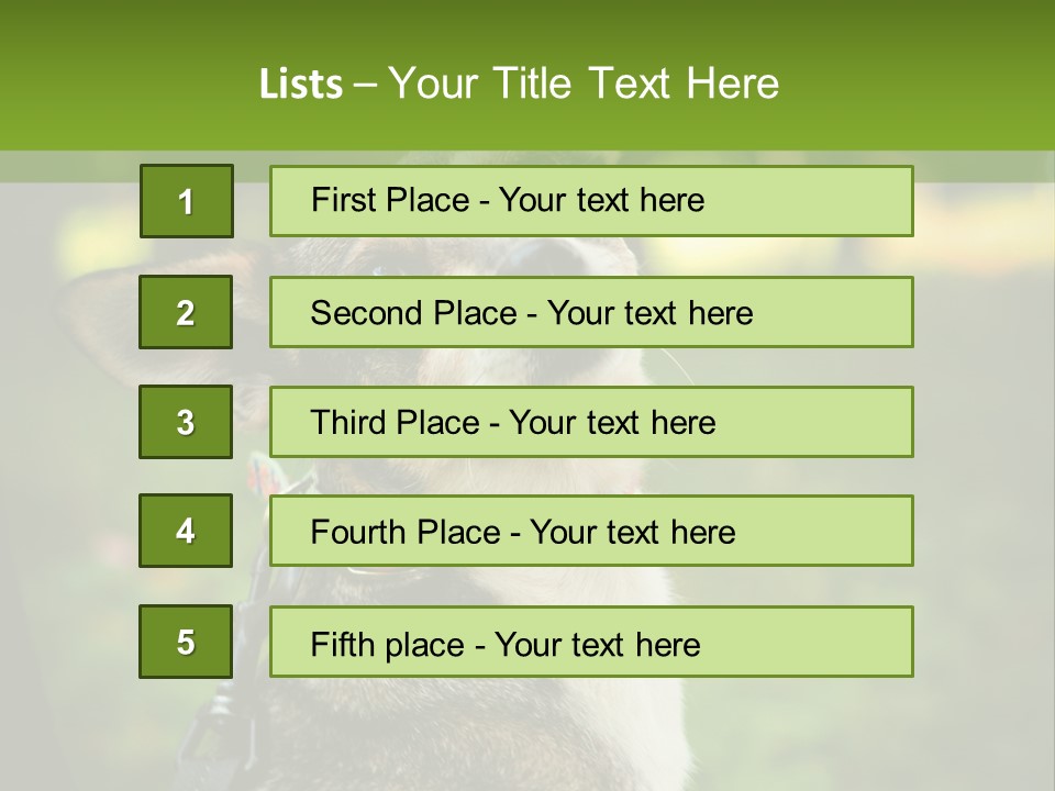 A Dog Sitting In The Grass Powerpoint Template PowerPoint Template