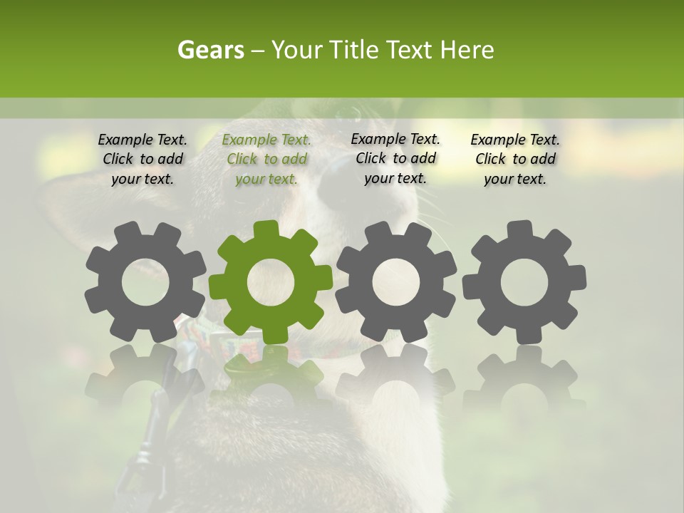 A Dog Sitting In The Grass Powerpoint Template PowerPoint Template