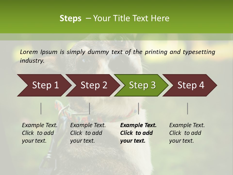 A Dog Sitting In The Grass Powerpoint Template PowerPoint Template