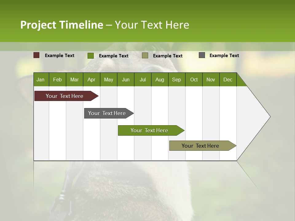 A Dog Sitting In The Grass Powerpoint Template PowerPoint Template