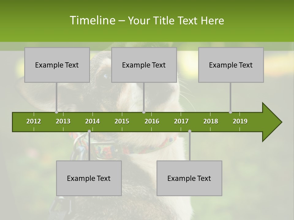 A Dog Sitting In The Grass Powerpoint Template PowerPoint Template