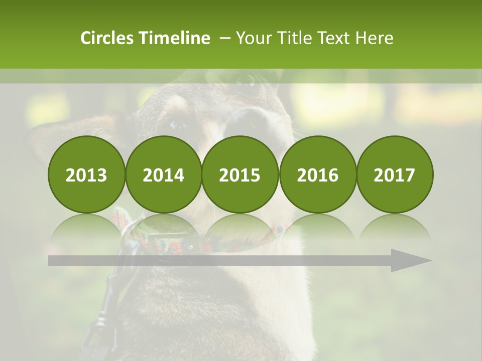 A Dog Sitting In The Grass Powerpoint Template PowerPoint Template